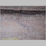 20060814_GrandCanyon_005 copia.jpg